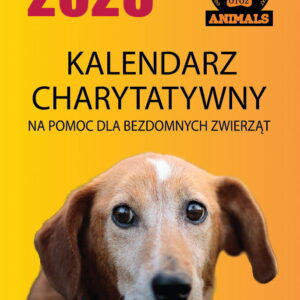 ZAPOWIEDŹ 01.12.2025r. Charytatywny Kalendarz Animals 2026