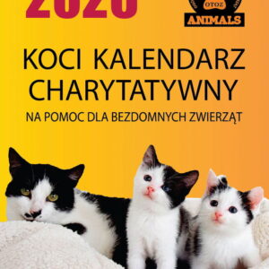 KOCI KALENDARZ CHARYTATYWNY 2026